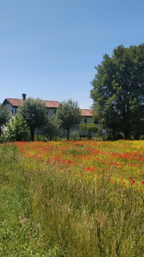 Porte Di Venezia, Tessera Aeroporto Favaro Veneto Εξωτερικό φωτογραφία